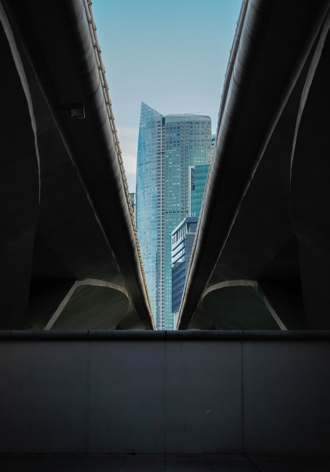 “五一”假日携程入境游订单增173% 全国首台离境退税自助开单机投用